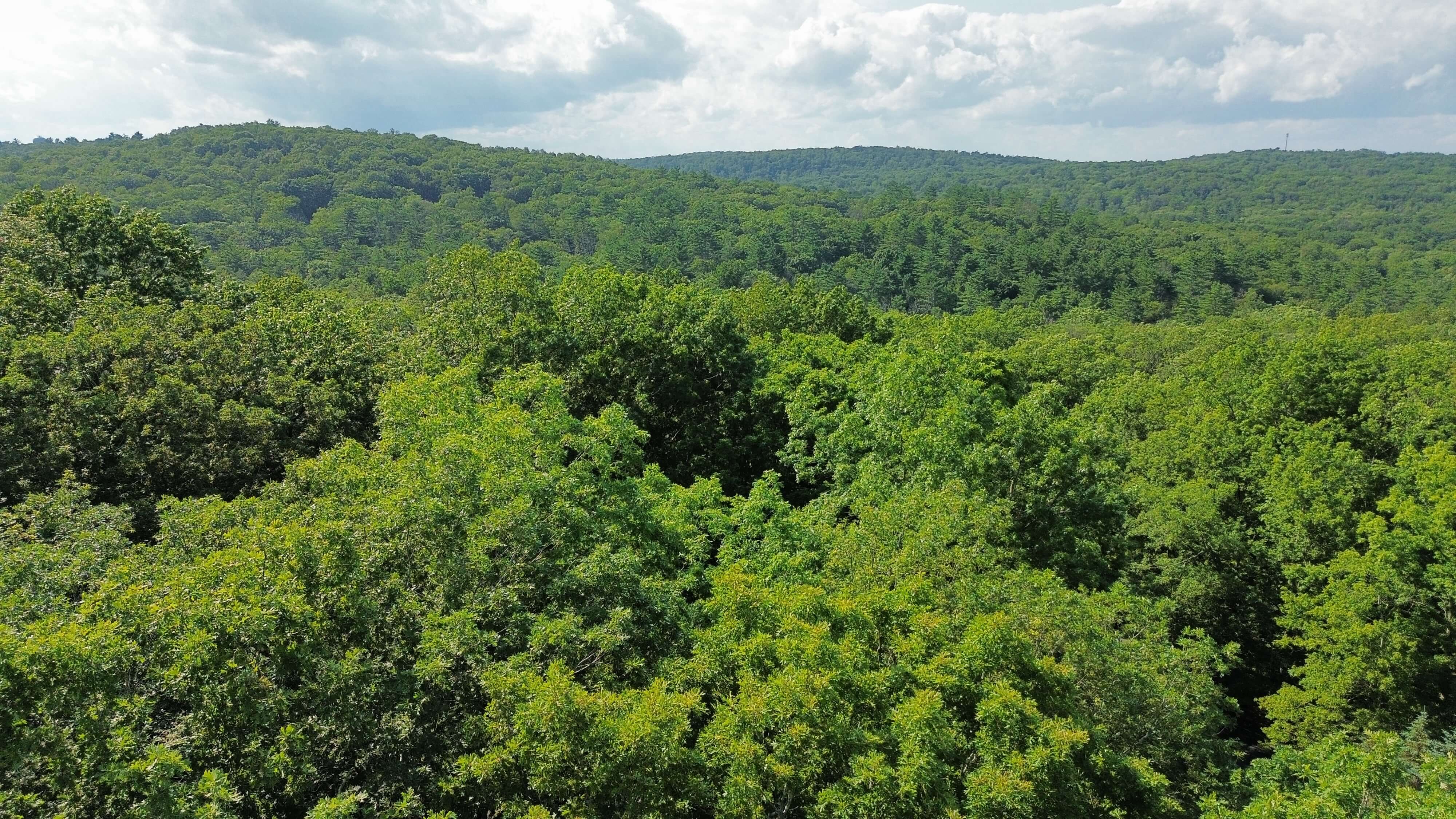Poconos Mountain